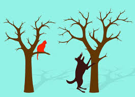 The Idioms of Hubris – To Insult people of Jammu and Kashmir